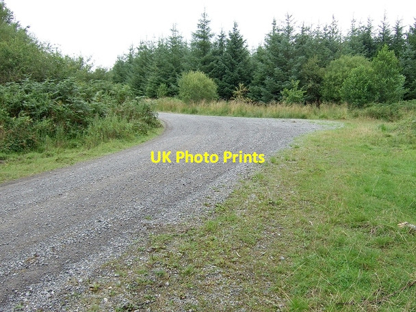 Photo 6"x4" Heol Tir-Lan, Coed y Rhaiadr Pen-common c2008