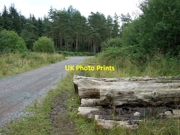 Photo 6"x4" Heol Tir-Lan, Coed y Rhaiadr Pen-common c2008 P1
