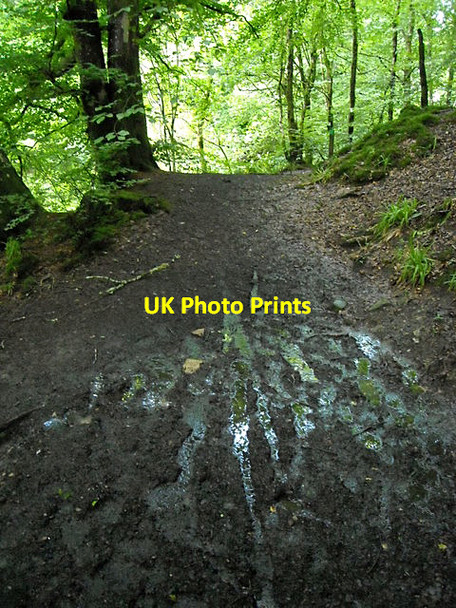 Photo 6"x4" Muddy Footpath in Calderglen East Kilbride\/NS6354 c2008