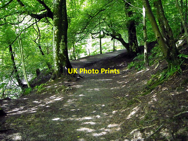 Photo 6"x4" Footpath in Calderglen East Kilbride\/NS6354 c2008