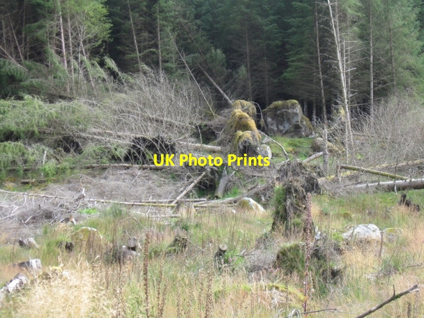 Photo 6"x4" Cleared forestry, windblown trees and rocks, below Meall B\u00c3\u00a0n above River Duror Achadh nan Darach c2008