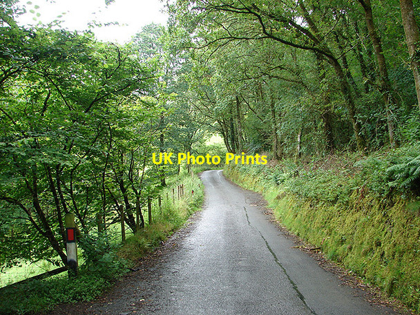 Photo 6"x4" The lane from the A4120 road to Nantyronen Station and Aberffrwd Llanfihangel-y-Creuddyn c2008