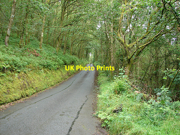 Photo 6"x4" The lane from the A4120 road to Nantyronen Station and Aberffrwd Llanfihangel-y-Creuddyn c2008 P1