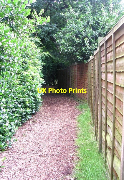 Photo 6"x4" Footpath at side of Rose Hill Natural Burial Ground - Birkby Hall Road Huddersfield c2008