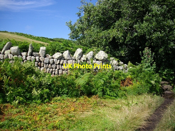 Photo 6"x4" Field Wall Hugh Town c2008