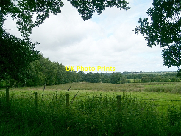 Photo 6"x4" Field beside Breconhill Plantation Brampton\/NY5261 c2008