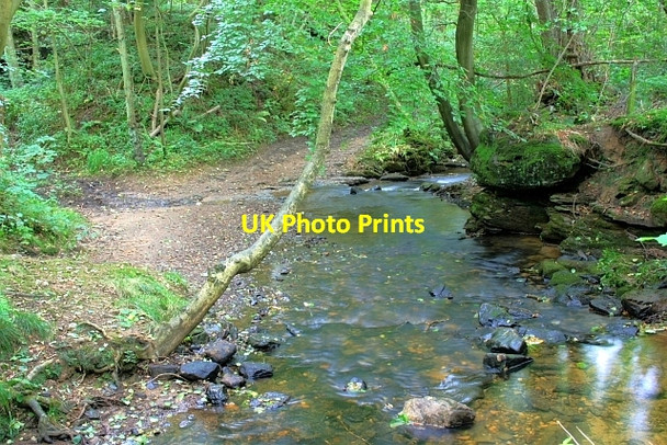 Photo 6"x4" Harland Beck Lowna c2008