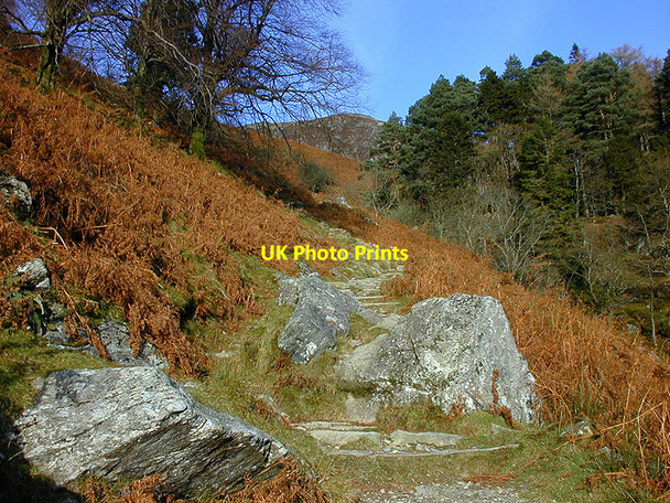 Photo 6"x4" The Minffordd path Dol-ffanog c2003