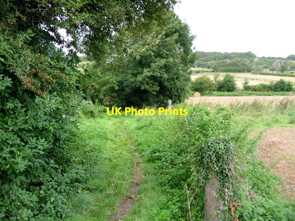 Photo 6"x4" A dog leg in the Elham Valley Way Elham c2008