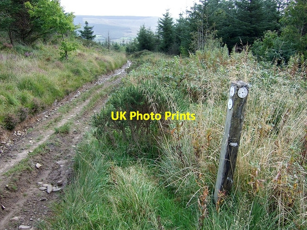 Photo 6"x4" St Illtyd's Walk nr Penybegwyn Triangulation Pillar Crynant\/Creunant\/SN7905 c2008