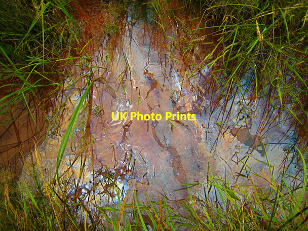 Photo 6"x4" Forvie: iron rich stream Collieston\/NK0328 c2008
