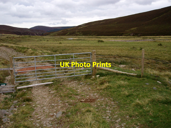 Photo 6"x4" New Gate & Fence River Dulnain\/NH8015 c2008