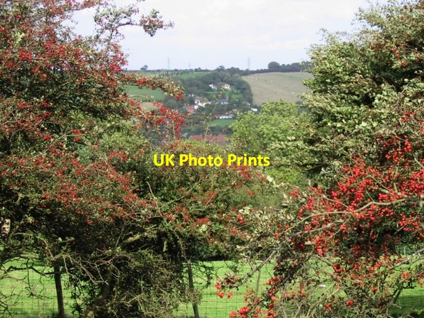 Photo 6"x4" Etchinghill seen through the berry laden hawthorn bushes Etchinghill\/TR1639 c2008