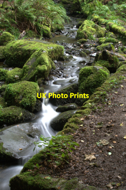 Photo 6"x4" Small Beck Ettersgill c2008