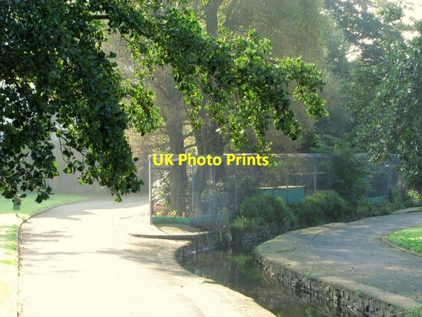 Photo 6"x4" Ward Park Bangor\/J5081 c2008