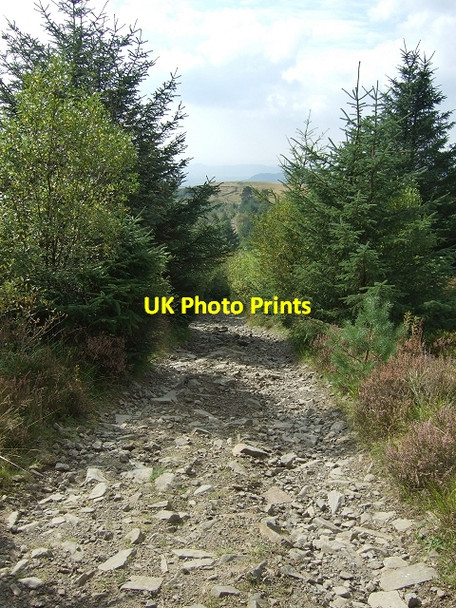 Photo 6"x4" Sarn Helen Roman Road Crynant\/Creunant\/SN7905 c2008 P1