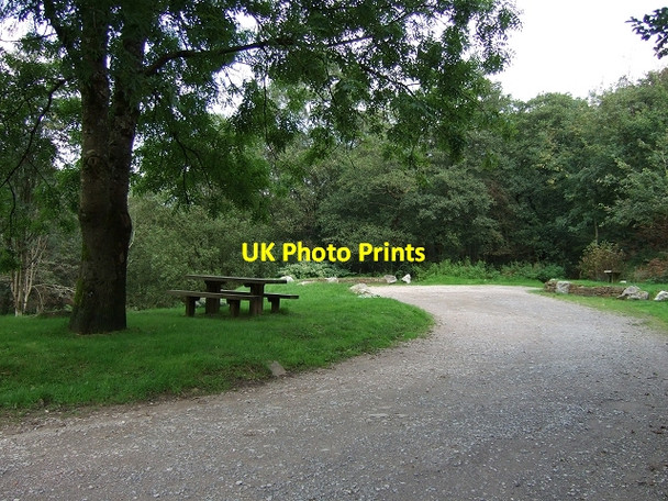 Photo 6"x4" Crynant Forestry Walk, Picnic Site Crynant\/Creunant\/SN7905 c2008