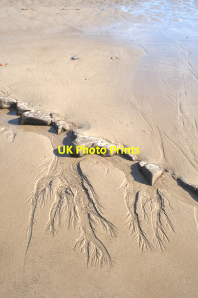 Photo 6"x4" Dendritic Sand Patterns Amble c2008