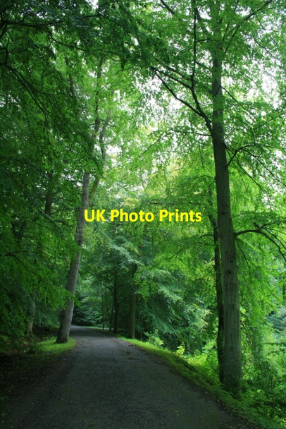 Photo 6"x4" By Wallington Garden Pond Cambo\/NZ0285 c2008