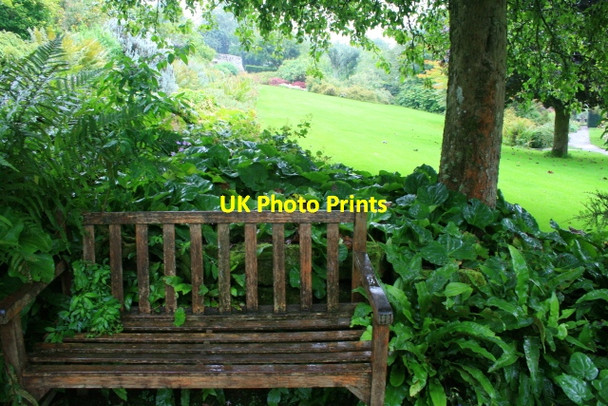Photo 6"x4" Wet Bench, Wallington Walled Garden Cambo\/NZ0285 c2008