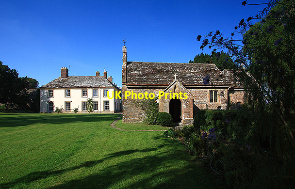 Photo 6"x4" St Barnabas Church & Stock House - Stock Gaylard King's Stag c2008