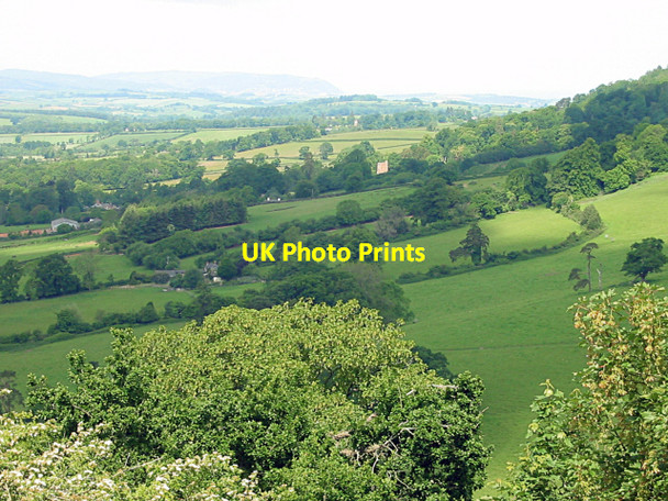 Photo 6"x4" West flank of Cothelstone Hill Cothelstone c2007