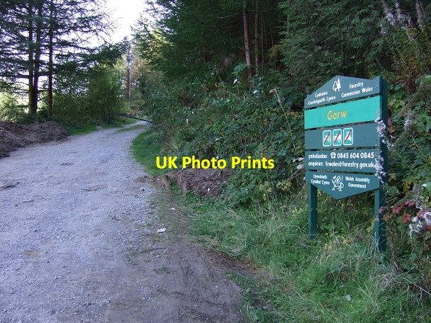 Photo 6"x4" Garw Forestry Walk Entrance Pontycymer c2008