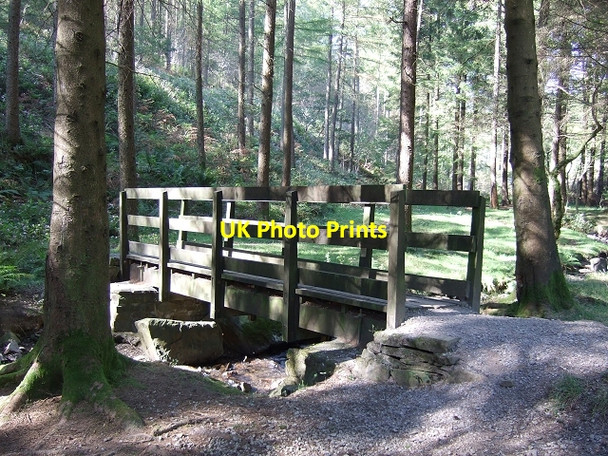 Photo 6"x4" Footbridge over Garw Fechan, Garw Forestry Walk Pontycymer c2008