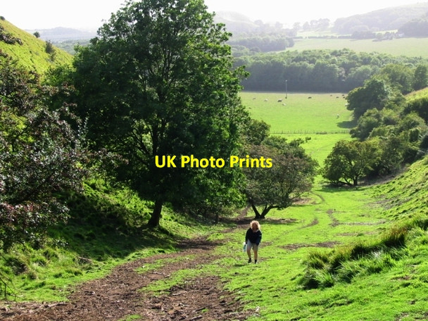 Photo 6"x4" Climbing up the escarpment on to the North Downs Etchinghill\/TR1639 c2008