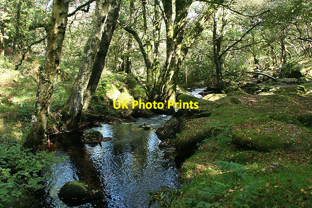 Photo 6"x4" Ilsington: Becka Brook Water\/SX7580 c2008