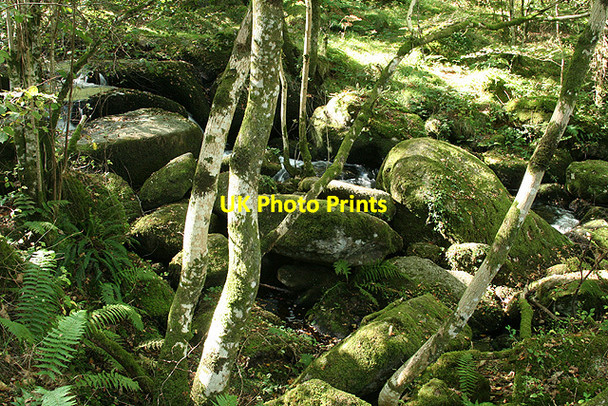 Photo 6"x4" Ilsington: Becka Brook 2 Water\/SX7580 c2008