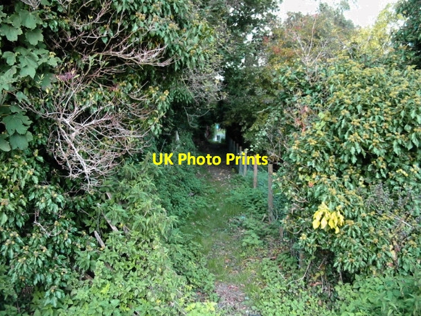 Photo 6"x4" Footpath to Holt Street, Nonington Frogham\/TR2550 c2008