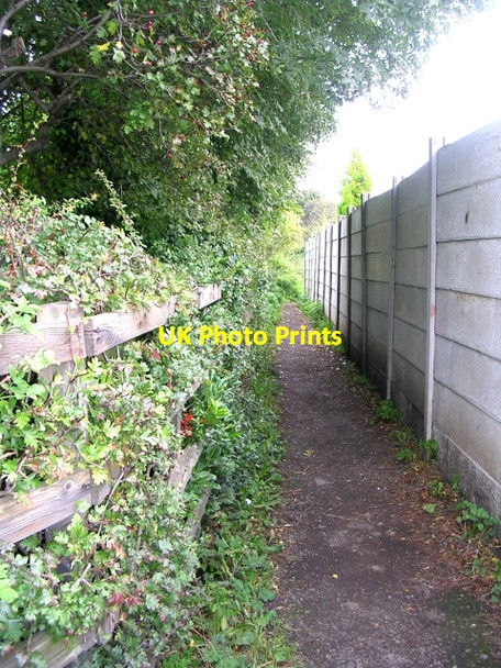 Photo 6"x4" Bridleway - Potovens Lane Lofthouse Gate c2008
