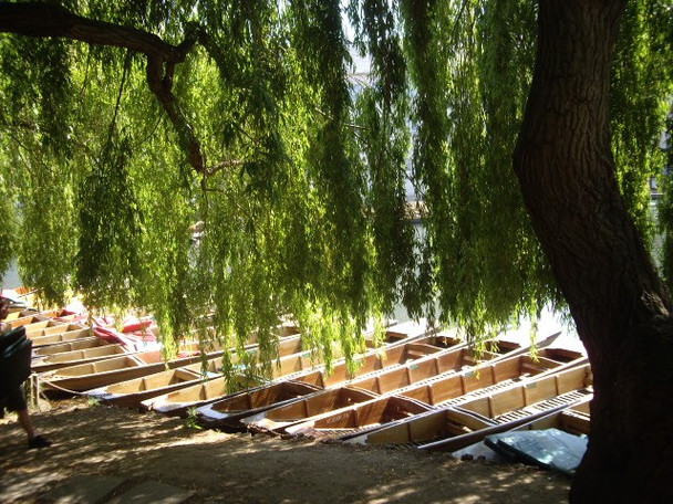 Photo 6"x4" Punts in the shade Cambridge\/TL4658 c2009