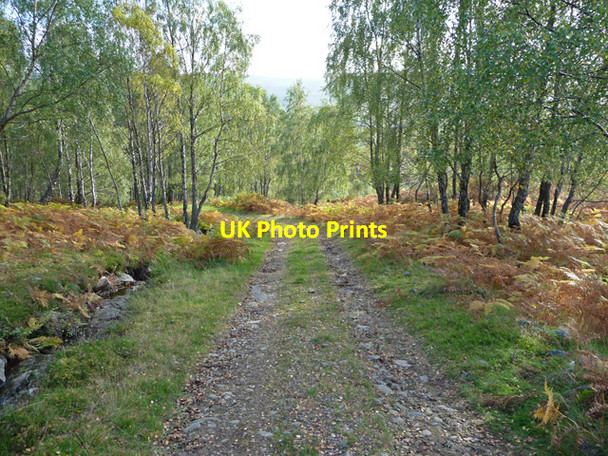 Photo 6"x4" Track to Dundreggan Dalchreichart c2008
