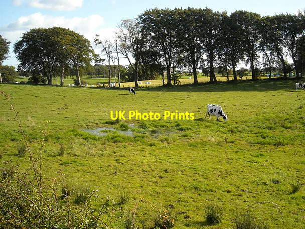 Photo 6"x4" Field Near Auchenfin Auldhouse c2008
