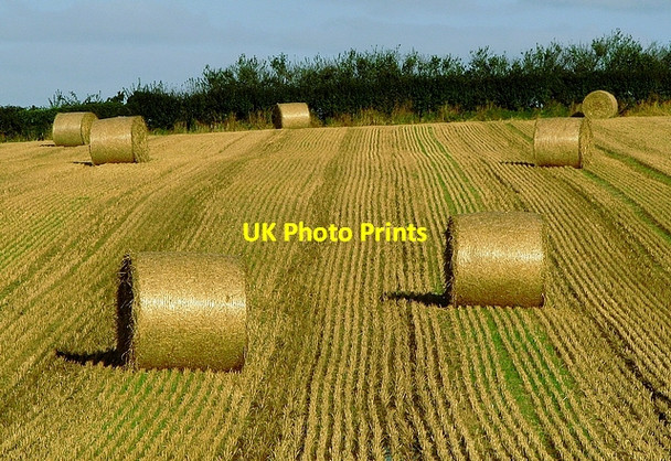 Photo 6"x4" Late harvest near Six Road Ends Six Road End c2008