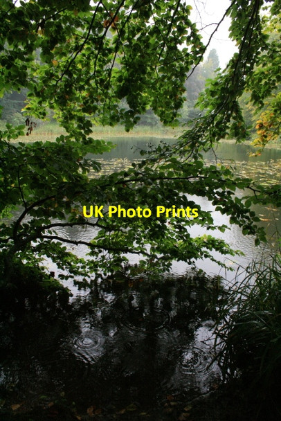 Photo 6"x4" China Pond Cambo\/NZ0285 c2008