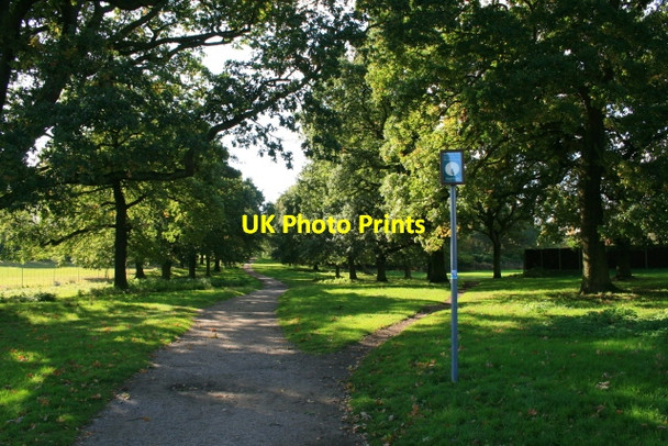Photo 6"x4" Digby Avenue Lenton Abbey c2008