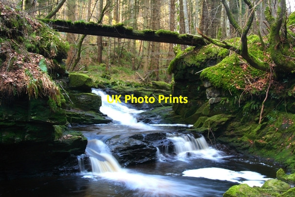 Photo 6"x4" Footbridge Over Romach Burn Logie\/NJ0150 c2008