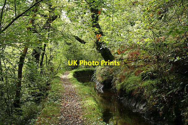 Photo 6"x4" Mary Tavy: Hillbridge leat 4 Horndon c2008