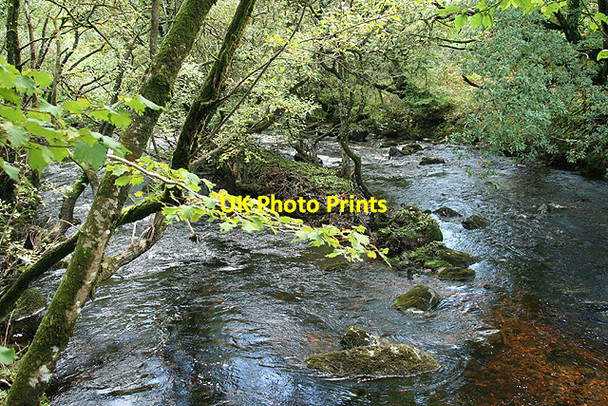 Photo 6"x4" Peter Tavy: the Tavy at Horndon Bridge Cudlipptown c2008