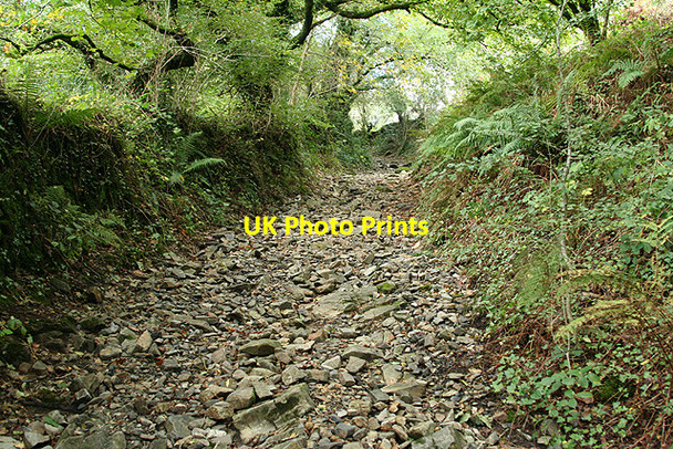 Photo 6"x4" Mary Tavy: path to Horndon Cudlipptown c2008