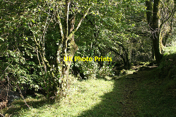 Photo 6"x4" Lydford: Litchway Horndon c2008