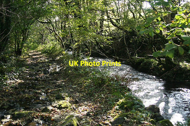Photo 6"x4" Lydford: by the Willsworthy Brook Horndon c2008