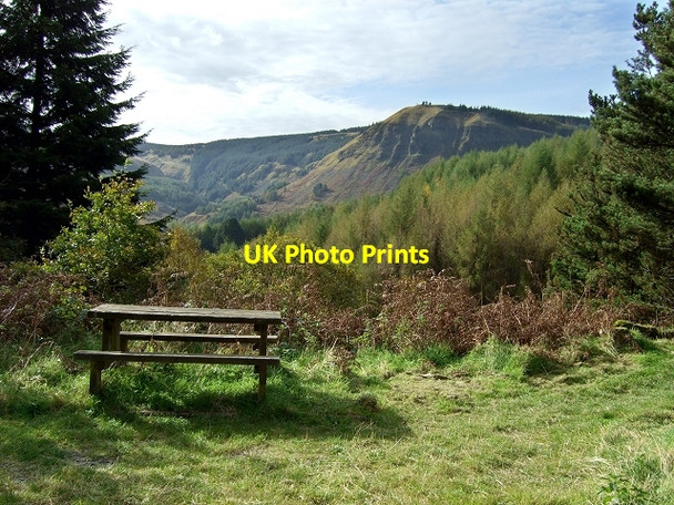 Photo 6"x4" Penpych Woodland Park, Rest Stop Blaenrhondda c2008