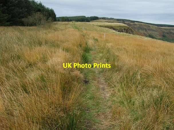 Photo 6"x4" Path through Rough Grassland atop Penpych Treherbert c2008