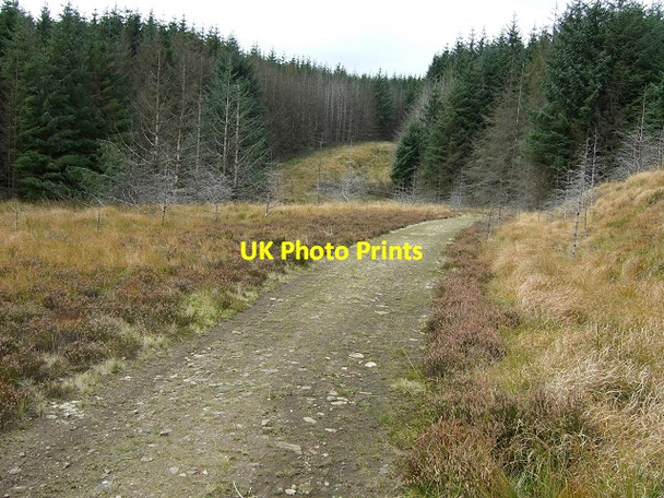 Photo 6"x4" Footpath on Mynydd Blaenrhondda Blaenrhondda c2008