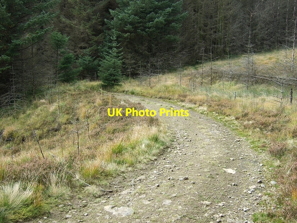 Photo 6"x4" Footpath on Mynydd Blaenrhondda Blaenrhondda c2008 P1