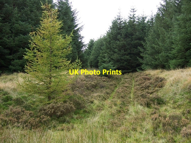 Photo 6"x4" Footpath on Mynydd Blaenrhondda Blaenrhondda c2008